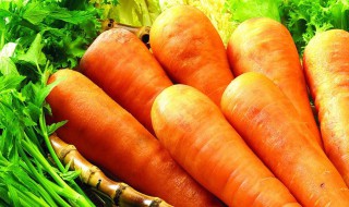 胡萝卜配什么炒好吃 胡萝卜好吃的搭配