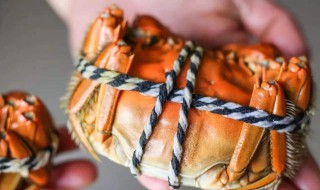 手绑螃蟹的方法 手绑螃蟹的方法介绍