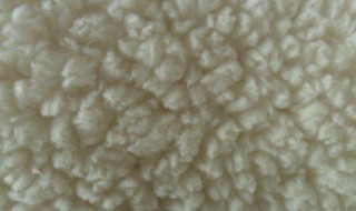 羊羔毛毛领发黄怎么处理 羊羔毛毛领发黄的处理方法