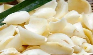 鲜百合做菜怎样做不苦 鲜百合不苦的做菜方法