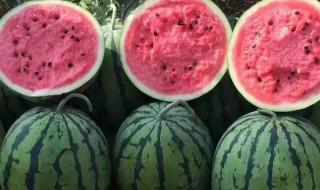 西瓜怎样做水果糖 西瓜如何做水果糖