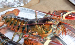 龙虾保鲜方法 龙虾保鲜存放有五法