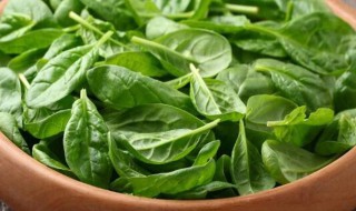 菠菜保鲜方法 大概可以保存多久