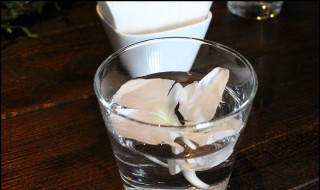 如何做带有香气的水 如何做香水