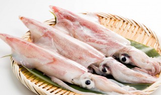 墨鱼皮怎么清洗处理 墨鱼皮应该去掉吗