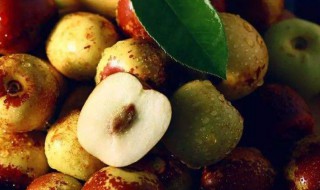 冬枣被冻了怎么处理 解决冬枣的方法