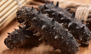 怎样泡发干海参 泡发干海参的窍门