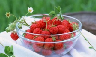 草莓怎么保鲜 吃不完的草莓怎么保鲜？