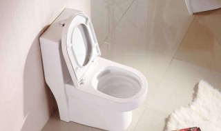 坐便器堵塞怎样疏通 可以用什么工具呢