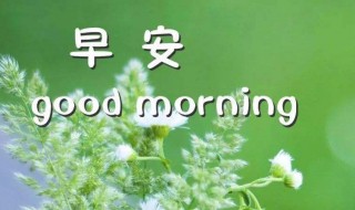清晨问候语简短 清晨问候语简短有哪些