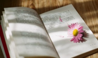 有关科学的名言 科学的名言名句大全