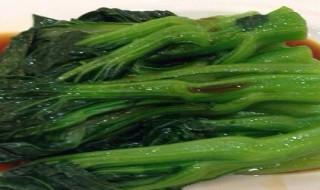 菜心的做法大全家常菜 菜心的家常做法