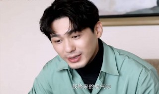 沉默的真相小说 沉默的真相小说的简介