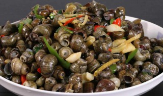 炒田螺的家常做法 美味田螺的家常做法