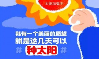 种太阳什么梗 种太阳什么意思