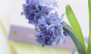 有关于坚强的名言 描写坚强的名言