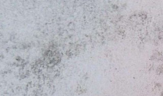 墙发霉怎么处理好 我们可以怎么做呢