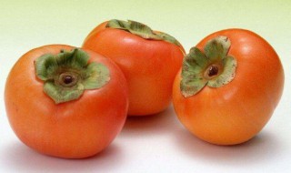 脆柿子好处 脆柿子好处有哪些