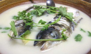 怎么做鱼白汤 鲫鱼如何煮出奶白汤