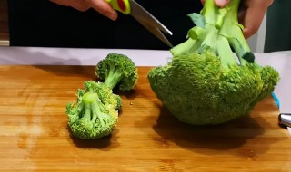 增强免疫力食物排行榜 增强免疫力食物有什么