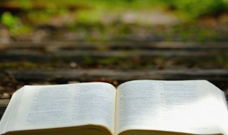 削多音字组词 削多音字怎么组词