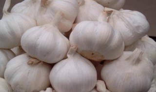 蒜头怎么做最香 蒜头最香的做法
