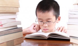 率多音字组词 率的多音字组词有哪些