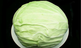 包菜怎么保存才不烂 保存包菜不烂的方法介绍