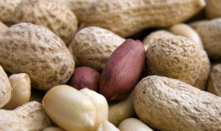 水煮带壳花生的正确做法 水煮花生的做法