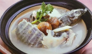 怎么做甲鱼煲鸡 甲鱼煲鸡怎么做