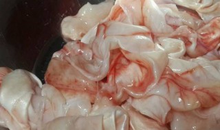 鱼泡去腥的方法 如何做鱼泡