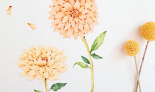 朋友圈必赞的说说 朋友圈必赞的说说有哪些