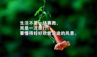 朋友圈说说正能量 让人一天正能量