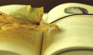 云中谁寄锦书来诗词暗指什么 云中谁寄锦书来诗词暗指恋人传情