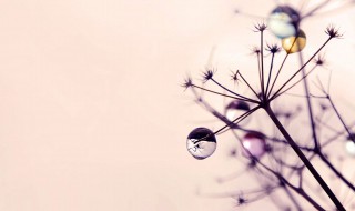 关于岁月的唯美句子 关于岁月的唯美句子精选