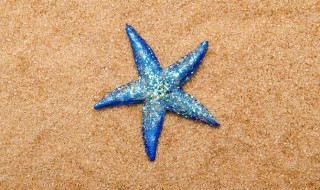 哪种动物跟小壁虎的尾巴一样有再生功能 跟小壁虎的尾巴一样有再生功能的是什么