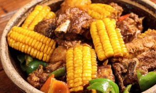 怎么炖好吃排骨 炖排骨的做法介绍