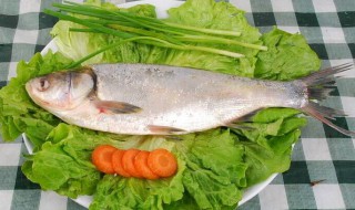 怎么炖白鲢不腥又好吃 炖白鲢不腥又好吃的做法介绍