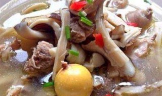 鸡枞菌做汤窍门 鸡枞菌汤的做法
