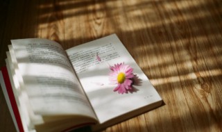 勾组词 勾的组词有哪些