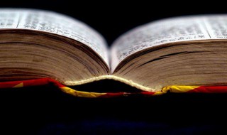 桂组词 桂组词列述