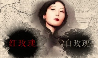 张爱玲的红玫瑰与白玫瑰经典语句 张爱玲的红玫瑰与白玫瑰经典语句分享