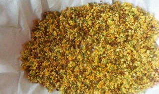 桂花怎么烘烤保存 怎么保存的时间比较长