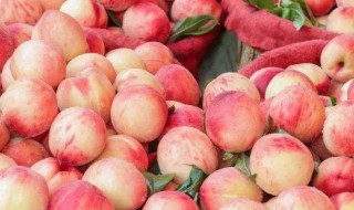 小桃子怎样做才好吃 小桃子好吃做法