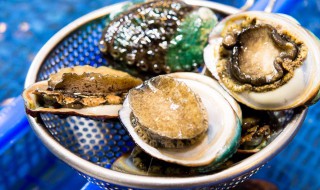 鲍鱼怎么保存才新鲜 鲍鱼保存方法详解