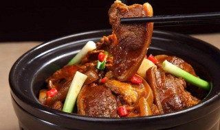 炖驴肉的家常做法 炖驴肉的家常做法分享