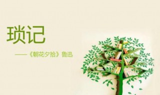 琐记读书笔记 琐记的内容是什么