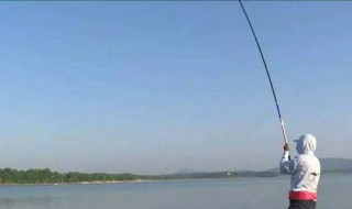 水库守钓如何做窝 水库垂钓如何正确做窝