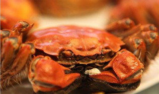 螃蟹加什么佐料 调料介绍
