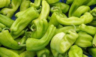 采辣椒方法 如何采摘辣椒